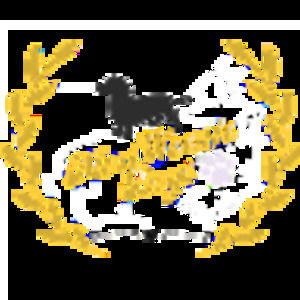 Meet your Posher, Mini weenie dogs